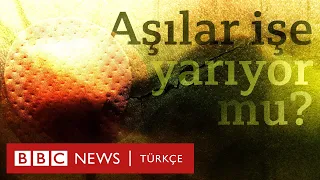 Aşılar işe yarıyor mu? Vaka sayıları neden tekrar artıyor?