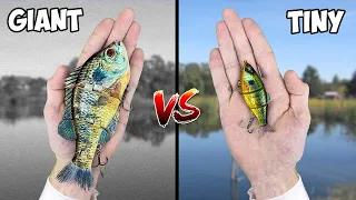 TINY Swimbait vs GIANT Swimbait Bass Fishing Challenge! (EPIC)