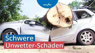 Aufräumarbeiten haben begonnen - Unwetter verwüsten Mitteldeutschland | MDR um Zwei | MDR