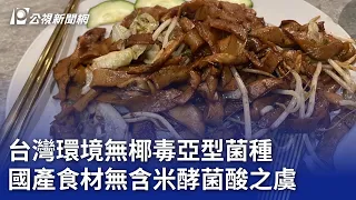 台灣環境無椰毒亞型菌種 國產食材無含米酵菌酸之虞｜20240330 公視晚間新聞