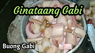 Paano linisin ang gabi para walang kati/Pagluluto ng gintaang Gabi o taro sa probinsya.