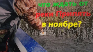 рыбалка в ноябре на реке Припять