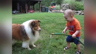 Собаки и дети, лучшие друзья  Dogs and Baby, the best video
