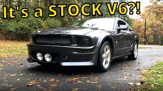 2008 V6 Mustang Review - Reviewing My Personal Car!! The best first car?!