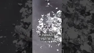 Сигаретный пепел уничтожает КЛЕЩЕЙ