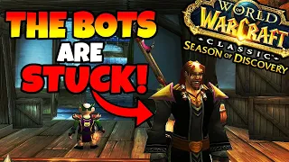 How To Deal With BOTTING in Season of Discovery!