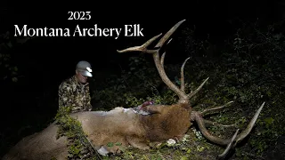 Montana Opening Day Archery Elk 2023