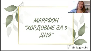 Марафон "Хордовые за 3 дня"  день 1