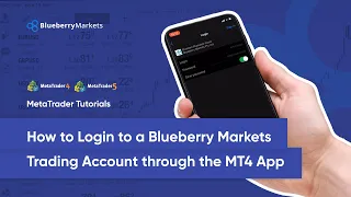 How To Login To Blueberry Markets Trading Account Through The MT4 App