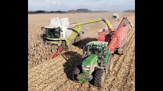 2020 Kukorica Aratás | Corn Harvest