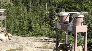 Scientists find tiny plastic particles in rainwater across Colorado