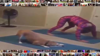 The BEST mannequin challenge with DOG