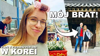 MÓJ BRAT WRESZCIE W KOREI! Vlog z pierwszych kilku dni zwiedzania Korei Południowej, Wolmido