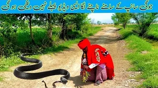 Jogi started dancing in front of the snake, the snake also started dancing. Watch the video