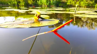 CARP CARS turn over water lilies!!! Fishing on a float in summer