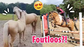 Oude foto's van mijn nieuwe paard gekregen + FOUTLOZE oefencross?! | felinehoi VLOG #463