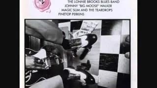 Living Chicago Blues Vol II   Don't Say That No More   Magic Slim And The Teardrops ‏   YouTube