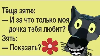 ✔️Зятёк, ну никак не пойму, за что тебя моя дочка любит?. А я с анекдотом и с приветом пришёл.