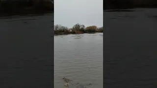 Разлив реки Сосна 😲