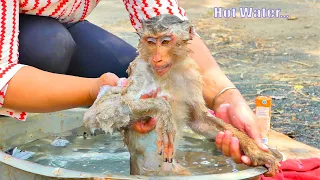 Day 2....To Bathe To Cleanse her Body || Monkey MOKA Feels Warmly With Hot Water