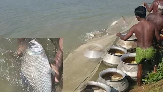 Fishing & Cooking | Catching Catla & Carp Fish | Charity Food Prepared For Another Village Kids