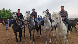 Shahidon ot bozori bugungi narhlar bilan tanishing 30.04.2024yil