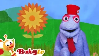 Yellow Flower with a Bee and a Rainbow full of Colors! | Cartoons for Kids @BabyTV