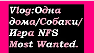 Vlog:Одна Дома/Собаки/Игра NFS Most Wanted.