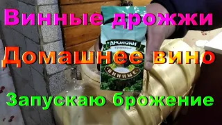 Винные дрожжи / Запускаю брожение домашнего вина