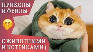 ФЕЙЛЫ #11 НЕУДАЧИ И ПРИКОЛЫ С ЖИВОТНЫМИ 2019 / Я РЖАЛ ПОЛ ЧАСА