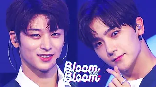 더보이즈(THE BOYZ) Bloom Bloom 블룸블룸 교차편집 (stage mix)