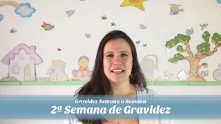 2ª Semana de gravidez