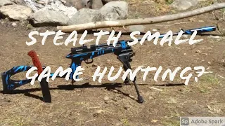 The best stealth camping tool for food. Diana Chaser .177 pellet rifle w/suppressor!