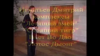 Техника змеи  Летящий змей  Техника тигра  Стоящий тигр  Вьет Во Дао Лотос Дыонг