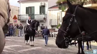 Gesso - Passeggiata a Cavallo per le vie principali del Borgo