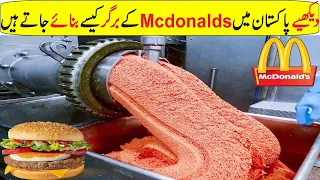 How Burgers Are Made in Factory | Amazing Burger Making Process In Hindi/Urdu