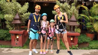 Zipline Flight of the Gibbon Chiang Mai Thailand 2016