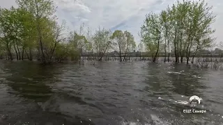 Видны лишь макушки деревьев — в Самаре на Волге остров Голодный полностью ушел под воду.