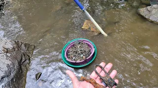 Lynx creek - digging deep for better gold