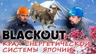 Борис Марцинкевич про крах энергетической системы Японии и грядущий Blackout