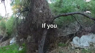 HD Version: Family-Friendly. Yellagonga Regional Park, North Of Perth. Wildlife & Nature Reserve.