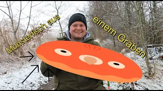 Monsterfisch aus einem Graben! Auf Hecht Angeln im Winter (Pose und Fischchen) Teil 1