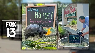 Rare stolen Galapagos tortoise returns to Florida zoo; 2 in custody