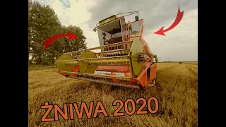 dronningborg d7000 W AKCJI ?!✔zetor proxima 6441 & ursus 2812✔☆AKCJA ŻNIWA 2020☆