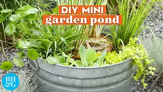 Easy DIY Garden Pond in a Bucket | Basics | Better Homes & Gardens