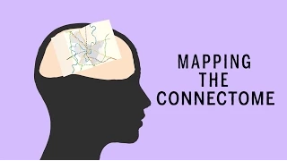 Mapping the Connectome