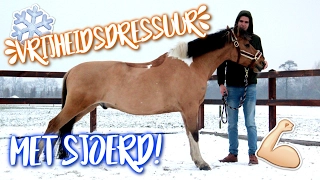 My boyfriend does tricktraining with my horse in the snow! + ENGL SUBS | felinehoi