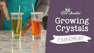 Growing Crystals Experiment | Geology | The Good and the Beautiful