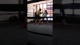 Sparring wars at 5th Street Gym (Miami Beach)