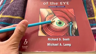 ASMR: Reading & Tracing an Ocular Textbook